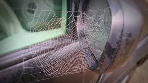 The Sticky Web of Selling Electric Cars