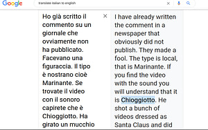 This is a screenshot of words, translated from Italian to English by Google. The writer is saying a YouTube video of a tourist falling int he canal is a fake.