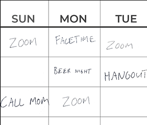 A whiteboard is shown and for each day of the week, scheduled online meetings on zoom or facetime. 