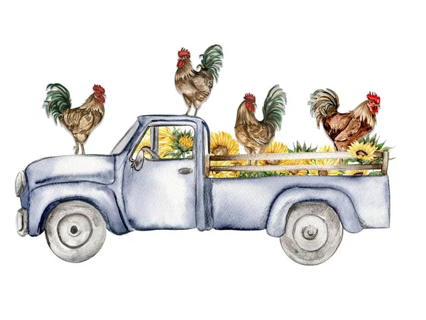 From Clucks to Trucks: The Enduring Vehicle Tariff